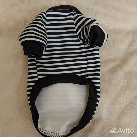 Одежда для собак мелких пород