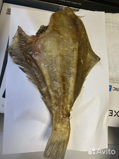 Камбала-ерш жирная Мурманская от 1кг