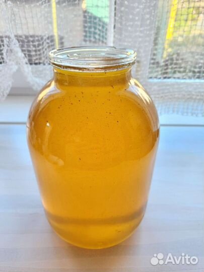 Мёд подсолнечный 3 л