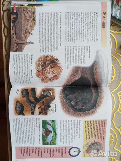 Детская энциклопедия