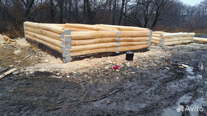 Сруб липовый