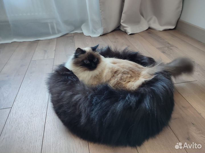 Лежанка для собак и кошек