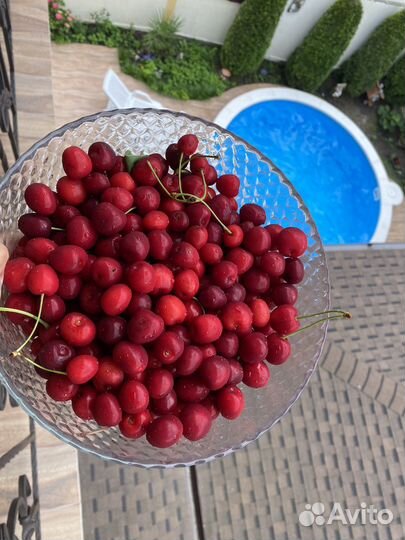 Отдых в горах с бассейном