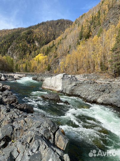 Рыбалка и отдых на горных реках запись октябрь