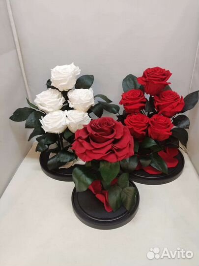 Роза в колбе оптом