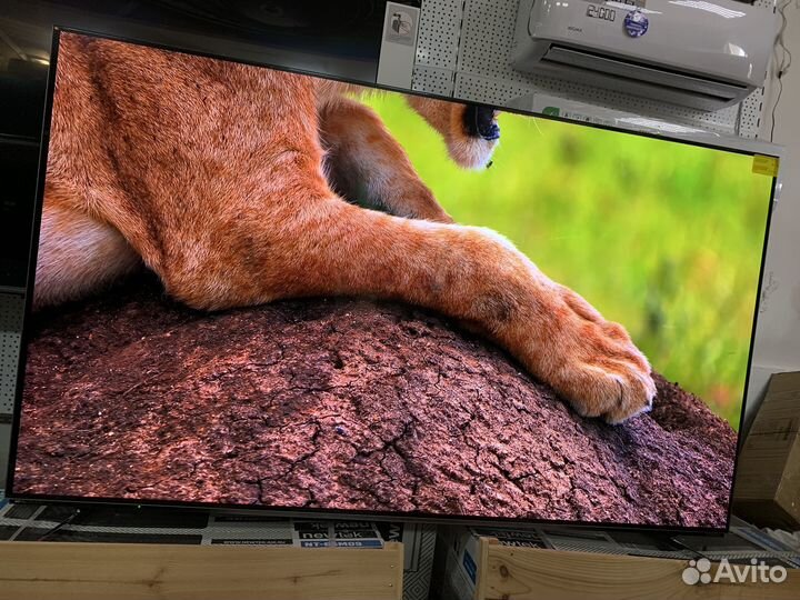 Oled, qled или LED телевизор - выбираем вместе