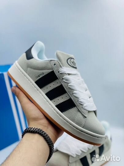 Adidas campus (37)