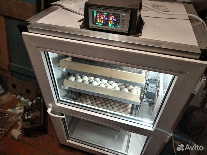 Инкубатор на 500 яиц