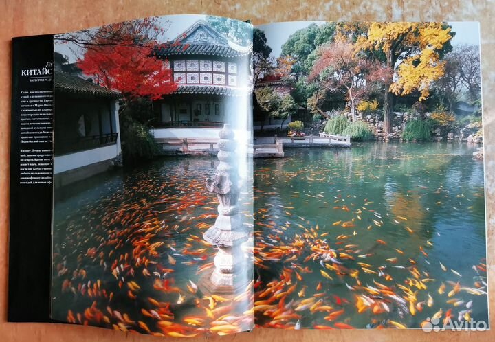 Лучшие китайские сады