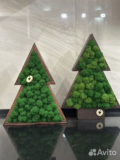 Новогодние елки,стабилизированный мох,подарок