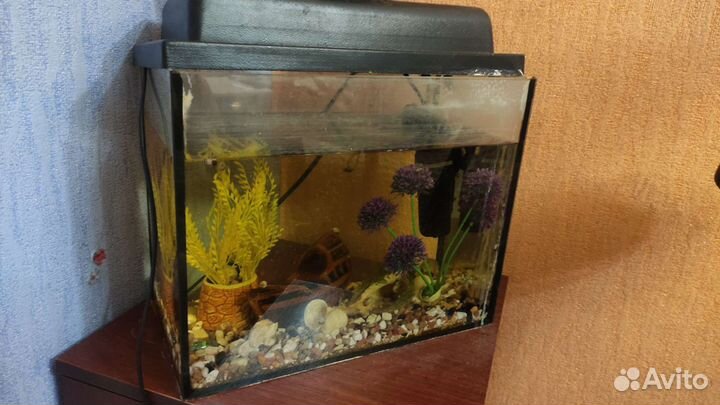 Аквариум 36х20х29 см
