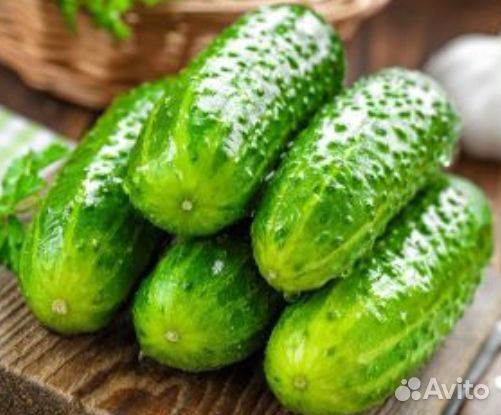 Огурец Litte Leaf(Маленький лист)