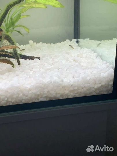 Уникальный кварцевый грунт для аквариума белый