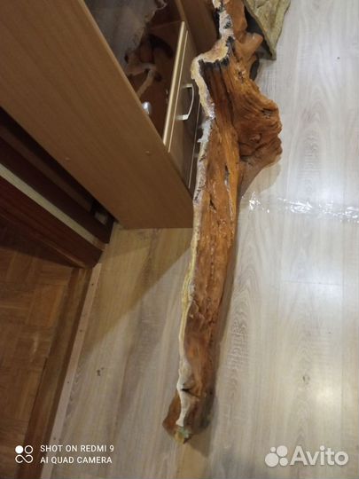 Задний фон для аквариума