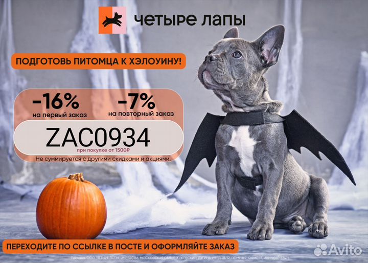 Промокод Четыре лапы магазин
