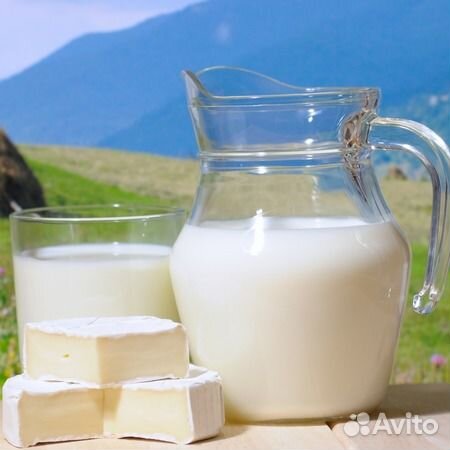 Молоко Англо нубийских коз