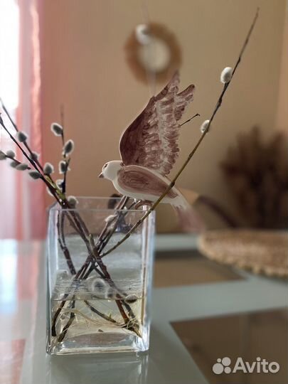 Декоративные птицы