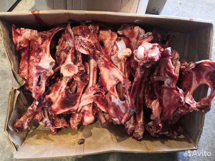 Кости с мясом для собак оленина