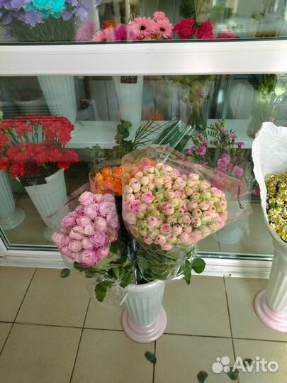 Кустовая роза bubbles, bombastic