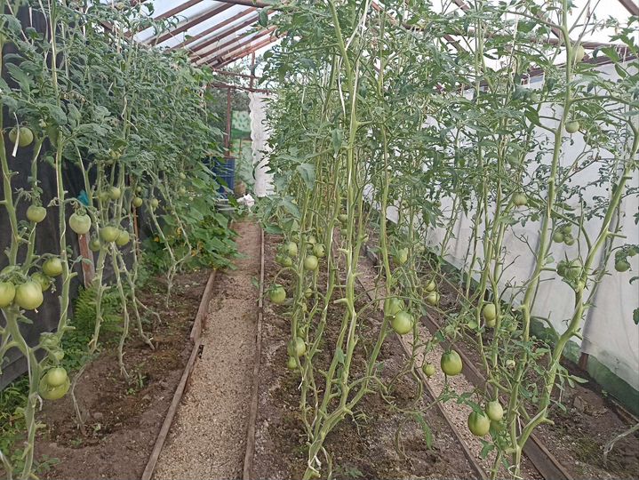 Дача 67 м² на участке 6 сот.