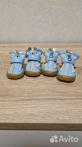 Ботинки для собак