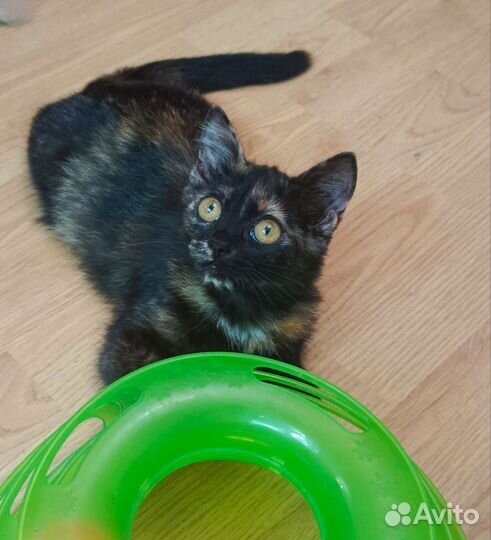 Заберите меня домой