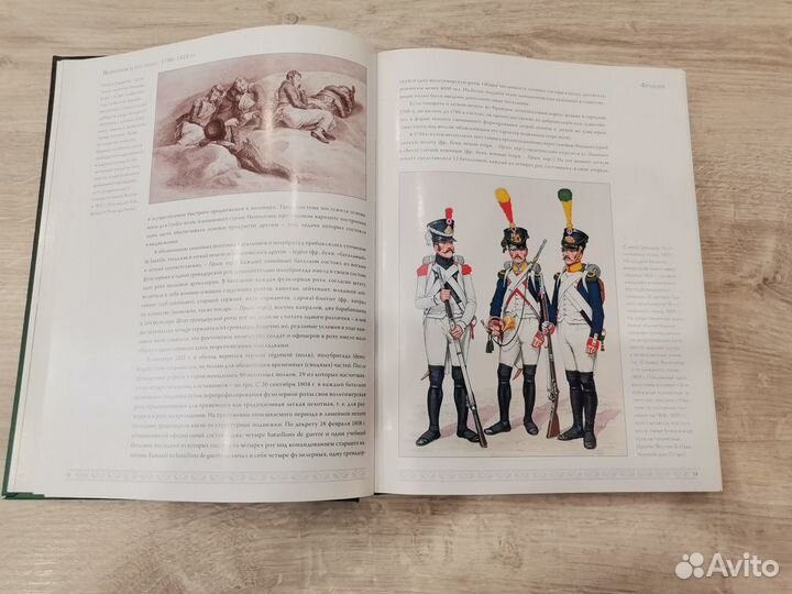 Наполеон и его эпоха. 1796-1815