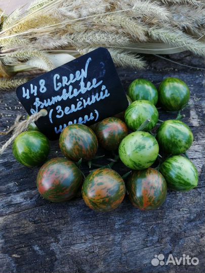 Семена редких коллекционых помидор