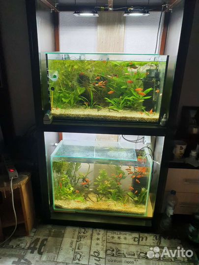 Обслуживание аквариумов