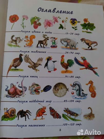 Большая энциклопедия рисования для детей