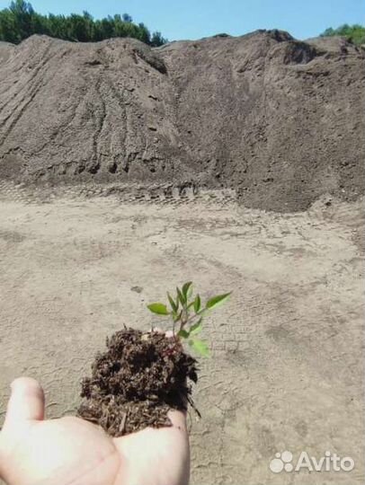 Удобрение навоз крс (прелый) в мешках 25 л