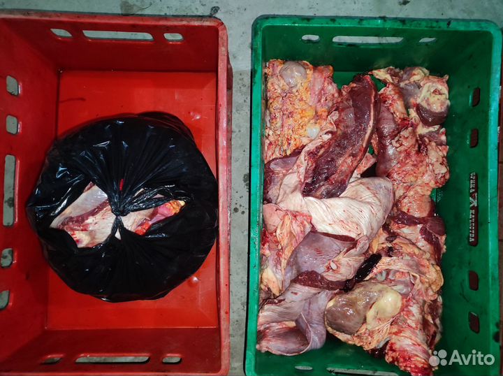 Корм, мясо для собак