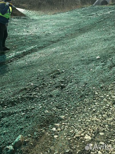 Семена газона оптом. Посев трав