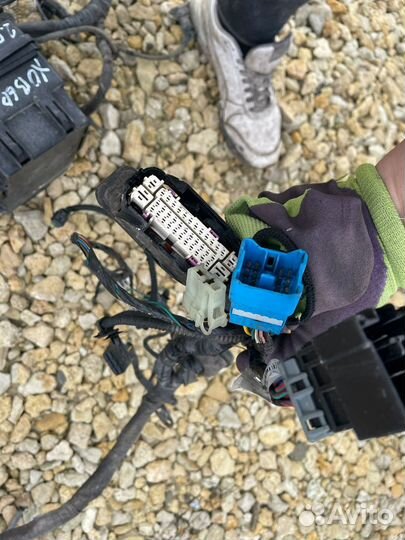 Проводка подкапотная hover h5