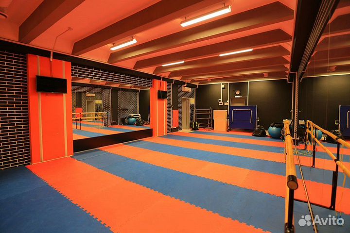 Будо маты ласточкин хвост