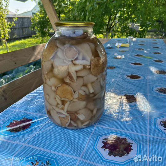 Грибы маслята маринованные