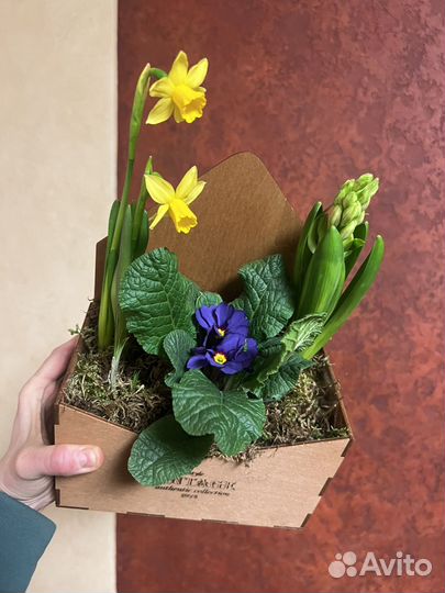 Букет с луковицами