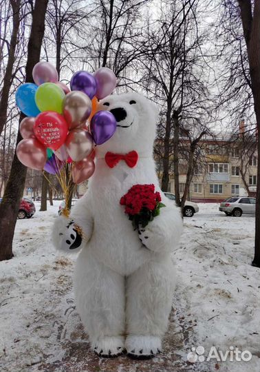 Белый Мишка, поздравление