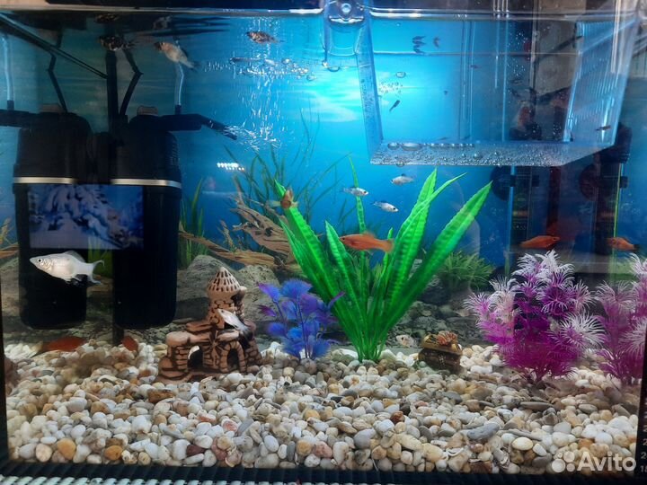 Аквариум