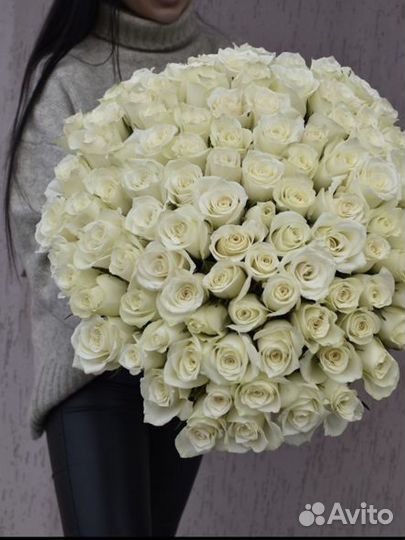 101 Роза за 6099