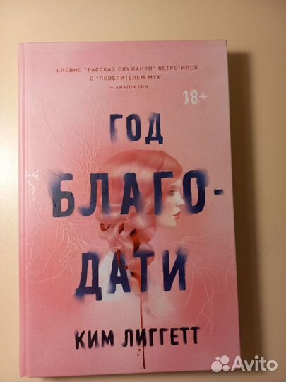 Год благодати