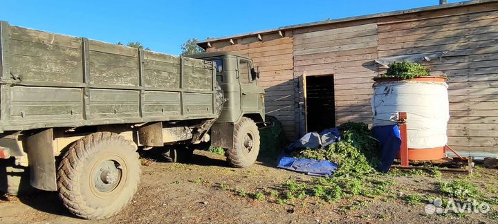 Пихтовое масло Алтая
