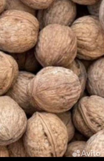 Орех грецкий
