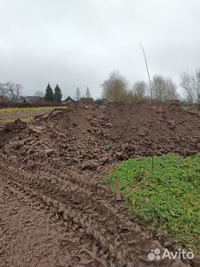 Земля на подсыпку Лужский район