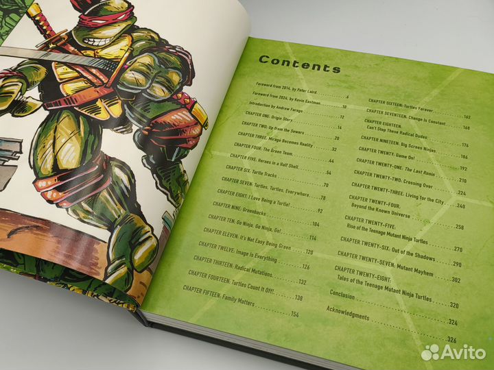 Teenage Mutant Ninja Turtles: The Ultimate Visual