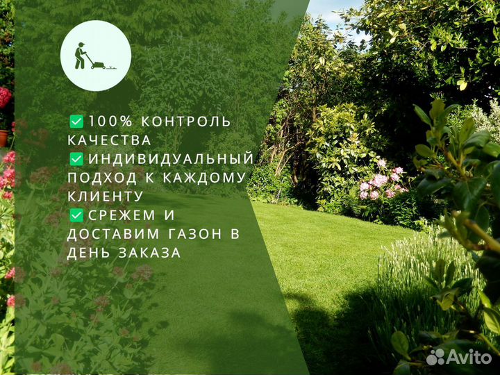 Продажа рулонного газона под ключ