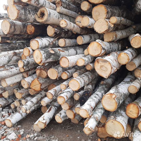 Дрова осина