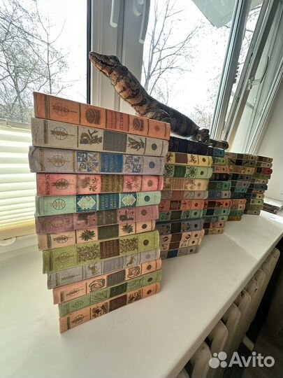 Библиотека мировой литературы для детей