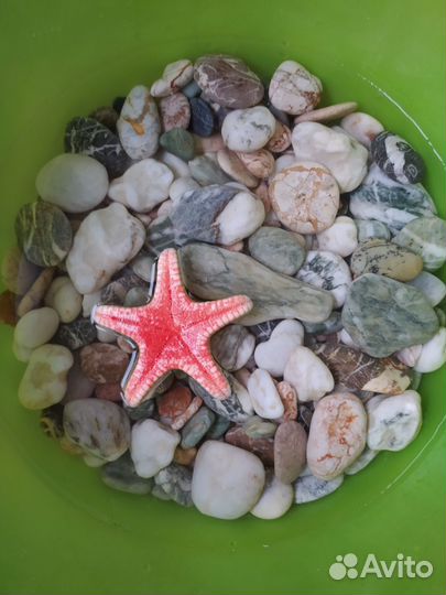 Морские камни (галька разноцветная, оникс)