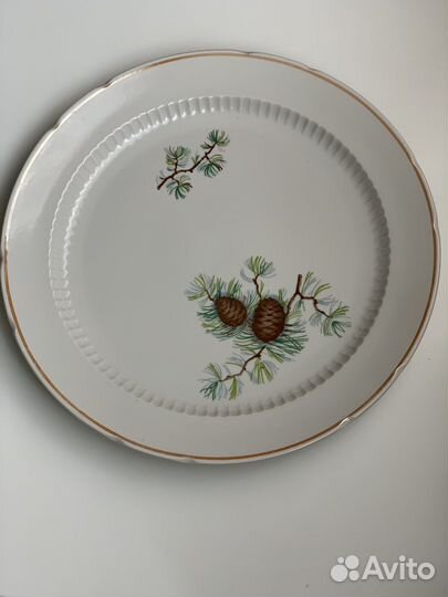 Набор столовой посуды Шишки СССР